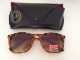 RAY BAN ERIKA